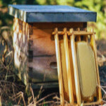 Bienenbeuten & Zubehör